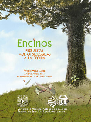 cover image of Encinos. Respuestas Morfofisiológicas a la sequía